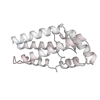 26624_7ung_F5_v1-1
48-nm repeat of the human respiratory doublet microtubule