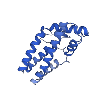 26624_7ung_F6_v1-1
48-nm repeat of the human respiratory doublet microtubule