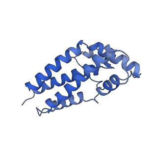 26624_7ung_F7_v1-1
48-nm repeat of the human respiratory doublet microtubule