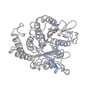 26624_7ung_FJ_v1-1
48-nm repeat of the human respiratory doublet microtubule