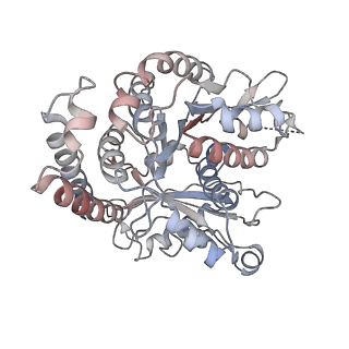 26624_7ung_FK_v1-1
48-nm repeat of the human respiratory doublet microtubule