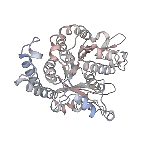 26624_7ung_FL_v1-1
48-nm repeat of the human respiratory doublet microtubule