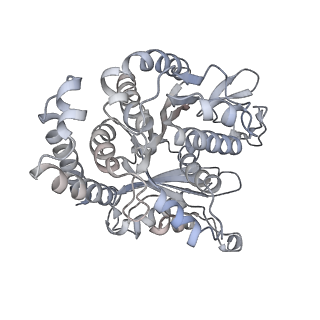 26624_7ung_FN_v1-1
48-nm repeat of the human respiratory doublet microtubule