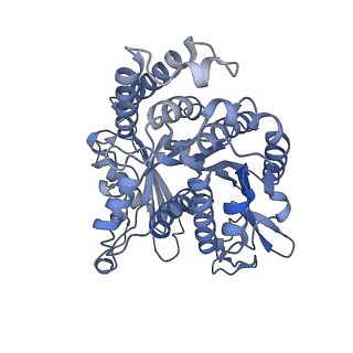 26624_7ung_IF_v1-1
48-nm repeat of the human respiratory doublet microtubule