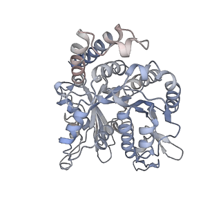 26624_7ung_IN_v1-1
48-nm repeat of the human respiratory doublet microtubule