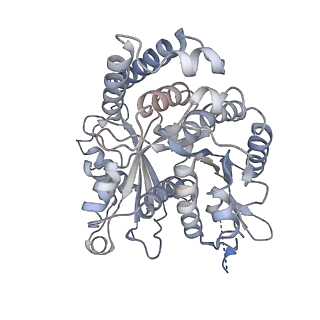 26624_7ung_IO_v1-1
48-nm repeat of the human respiratory doublet microtubule