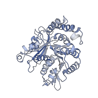 26624_7ung_JI_v1-1
48-nm repeat of the human respiratory doublet microtubule