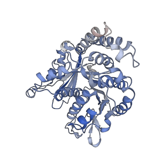 26624_7ung_JJ_v1-1
48-nm repeat of the human respiratory doublet microtubule
