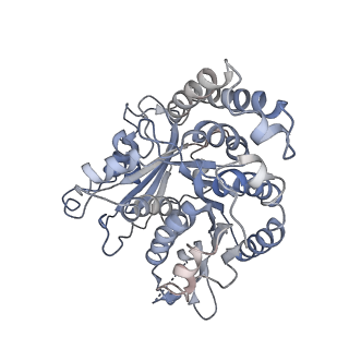 26624_7ung_JM_v1-1
48-nm repeat of the human respiratory doublet microtubule