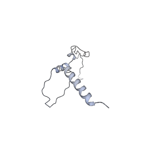 26624_7ung_K1_v1-1
48-nm repeat of the human respiratory doublet microtubule