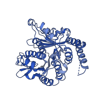 26624_7ung_KB_v1-1
48-nm repeat of the human respiratory doublet microtubule