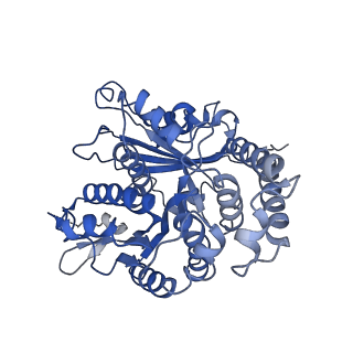 26624_7ung_KC_v1-1
48-nm repeat of the human respiratory doublet microtubule