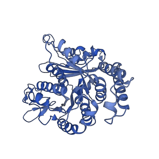 26624_7ung_KD_v1-1
48-nm repeat of the human respiratory doublet microtubule
