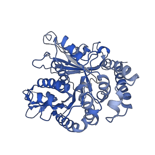26624_7ung_KE_v1-1
48-nm repeat of the human respiratory doublet microtubule