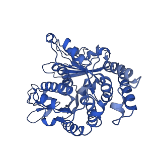 26624_7ung_KF_v1-1
48-nm repeat of the human respiratory doublet microtubule
