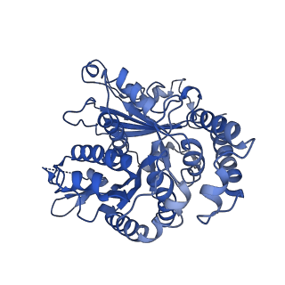 26624_7ung_KI_v1-1
48-nm repeat of the human respiratory doublet microtubule