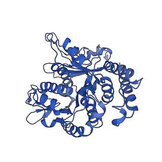 26624_7ung_KJ_v1-1
48-nm repeat of the human respiratory doublet microtubule