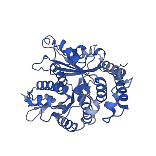 26624_7ung_KK_v1-1
48-nm repeat of the human respiratory doublet microtubule