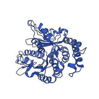 26624_7ung_KN_v1-1
48-nm repeat of the human respiratory doublet microtubule