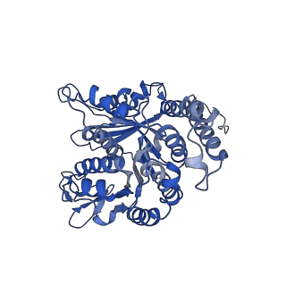 26624_7ung_LB_v1-1
48-nm repeat of the human respiratory doublet microtubule