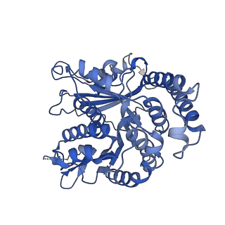 26624_7ung_LC_v1-1
48-nm repeat of the human respiratory doublet microtubule
