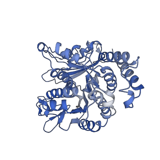 26624_7ung_LD_v1-1
48-nm repeat of the human respiratory doublet microtubule