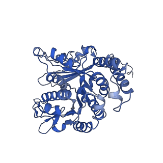26624_7ung_LF_v1-1
48-nm repeat of the human respiratory doublet microtubule