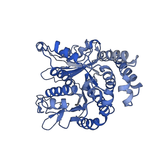 26624_7ung_LH_v1-1
48-nm repeat of the human respiratory doublet microtubule