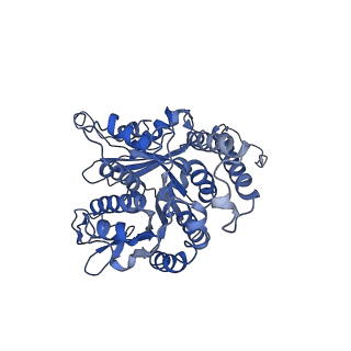 26624_7ung_LJ_v1-1
48-nm repeat of the human respiratory doublet microtubule