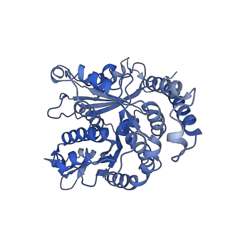 26624_7ung_LK_v1-1
48-nm repeat of the human respiratory doublet microtubule