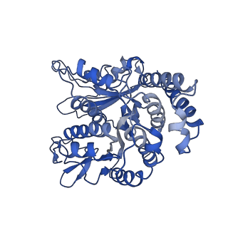 26624_7ung_LL_v1-1
48-nm repeat of the human respiratory doublet microtubule