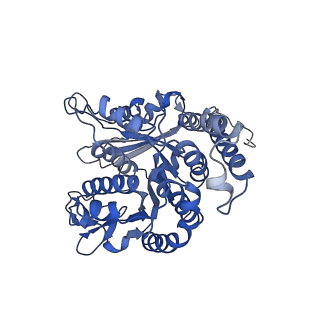 26624_7ung_LN_v1-1
48-nm repeat of the human respiratory doublet microtubule