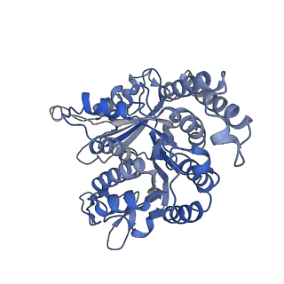 26624_7ung_MB_v1-1
48-nm repeat of the human respiratory doublet microtubule