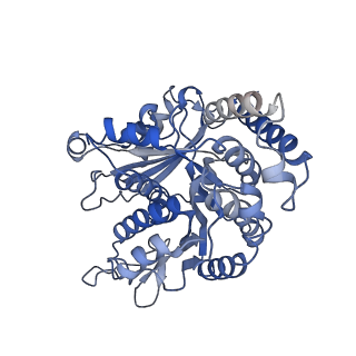 26624_7ung_MC_v1-1
48-nm repeat of the human respiratory doublet microtubule