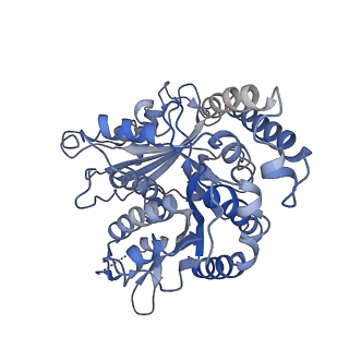 26624_7ung_MI_v1-1
48-nm repeat of the human respiratory doublet microtubule