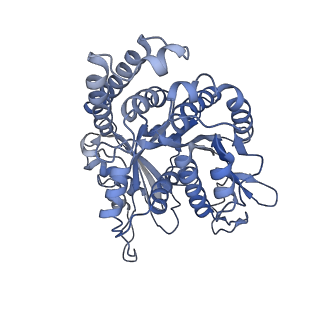 26624_7ung_ND_v1-1
48-nm repeat of the human respiratory doublet microtubule