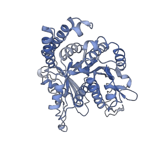 26624_7ung_NF_v1-1
48-nm repeat of the human respiratory doublet microtubule