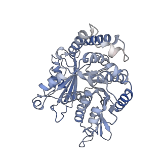 26624_7ung_PG_v1-1
48-nm repeat of the human respiratory doublet microtubule
