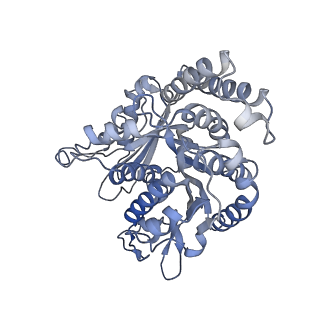 26624_7ung_QN_v1-1
48-nm repeat of the human respiratory doublet microtubule