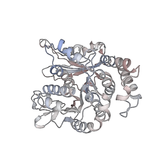 26624_7ung_SL_v1-1
48-nm repeat of the human respiratory doublet microtubule