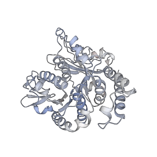 26624_7ung_TD_v1-1
48-nm repeat of the human respiratory doublet microtubule