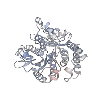 26624_7ung_TF_v1-1
48-nm repeat of the human respiratory doublet microtubule