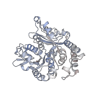 26624_7ung_TJ_v1-1
48-nm repeat of the human respiratory doublet microtubule