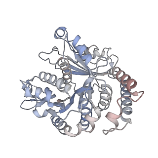 26624_7ung_TK_v1-1
48-nm repeat of the human respiratory doublet microtubule