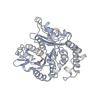 26624_7ung_TN_v1-1
48-nm repeat of the human respiratory doublet microtubule