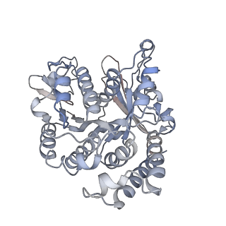 26624_7ung_VD_v1-1
48-nm repeat of the human respiratory doublet microtubule