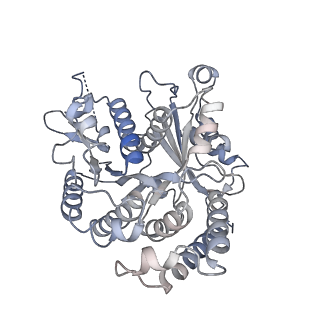 26624_7ung_VG_v1-1
48-nm repeat of the human respiratory doublet microtubule
