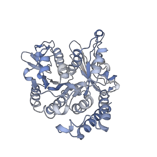 26624_7ung_VH_v1-1
48-nm repeat of the human respiratory doublet microtubule