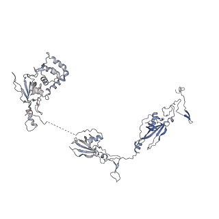 26624_7ung_W_v1-1
48-nm repeat of the human respiratory doublet microtubule