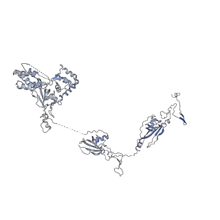 26624_7ung_X_v1-1
48-nm repeat of the human respiratory doublet microtubule
